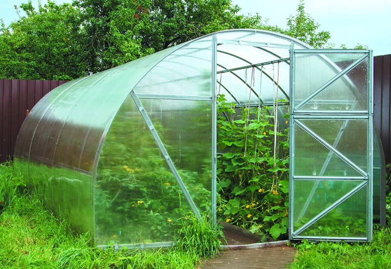 Теплицы из поликарбоната инновационное решение для современного садоводства и сельского хозяйства